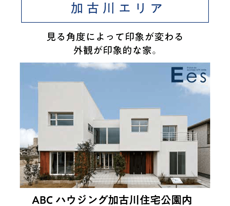 見る角度によって印象が変わる外観が印象的な家